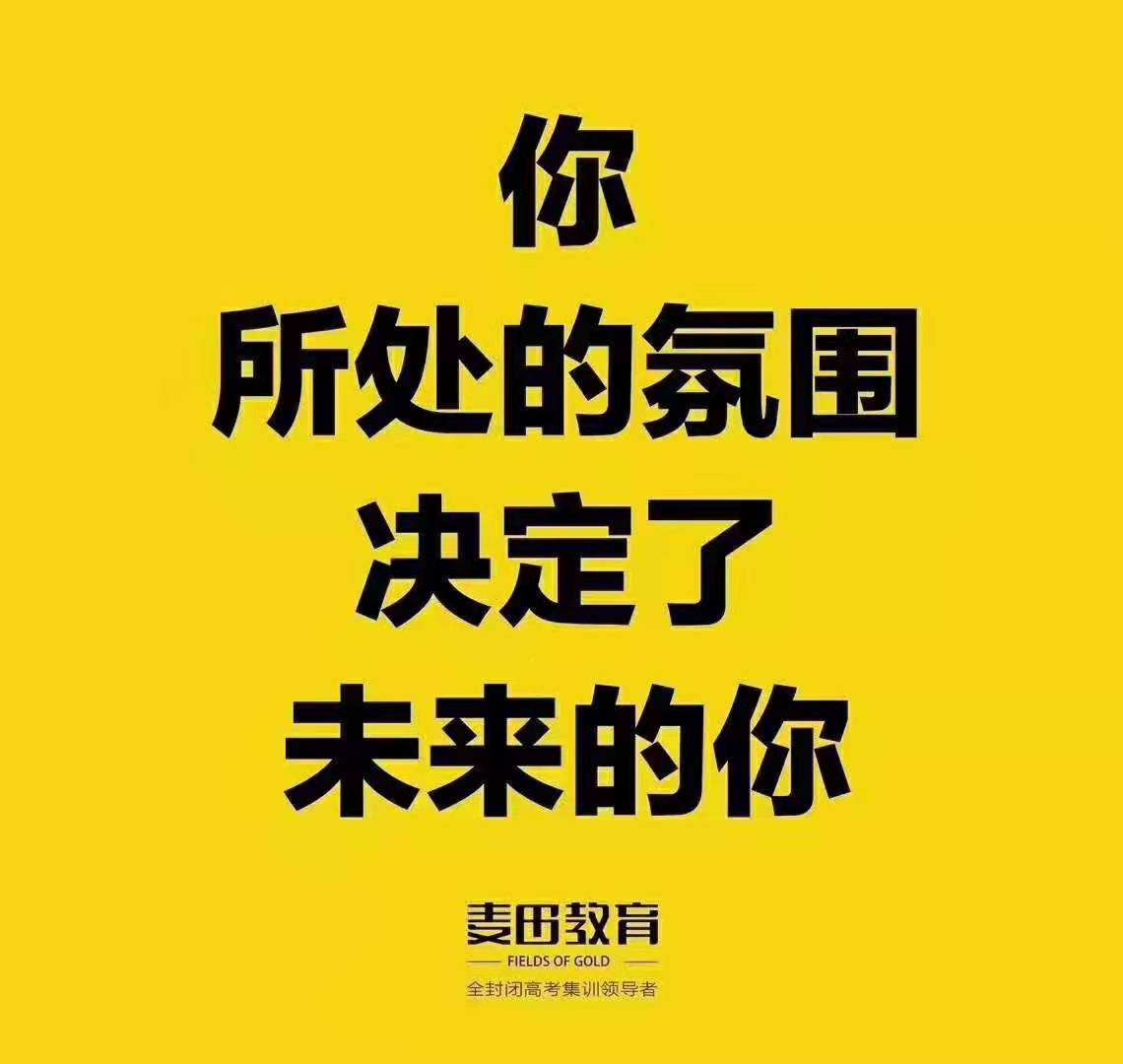 长春市悠悠麦田教育信息咨询有限公司